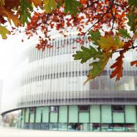 Building from outside: fall 1
