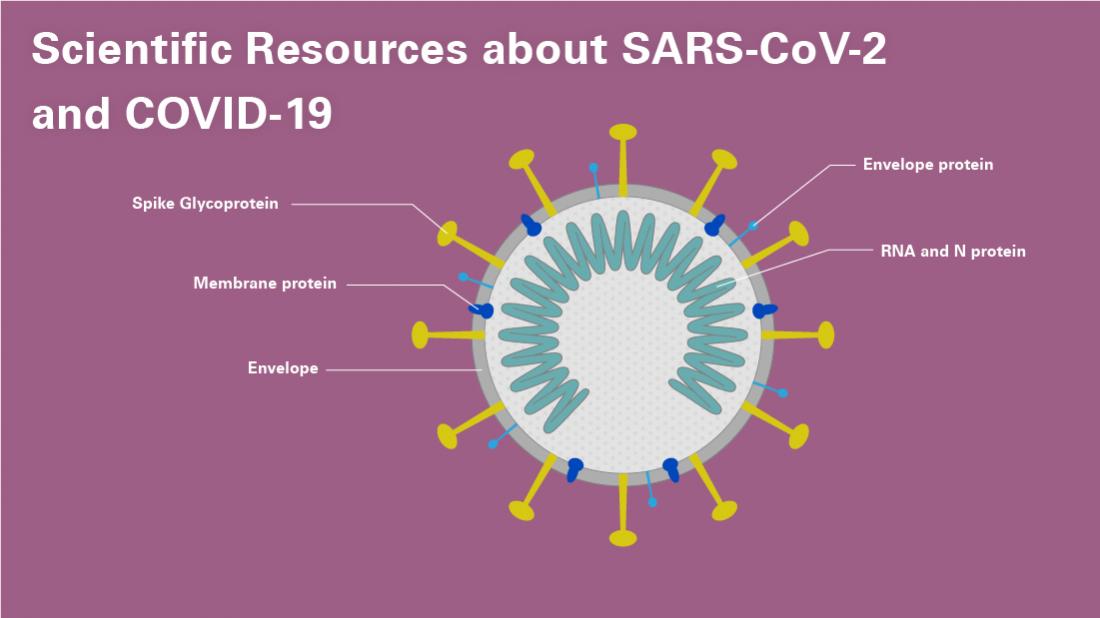 COVID-19 Resource Guides